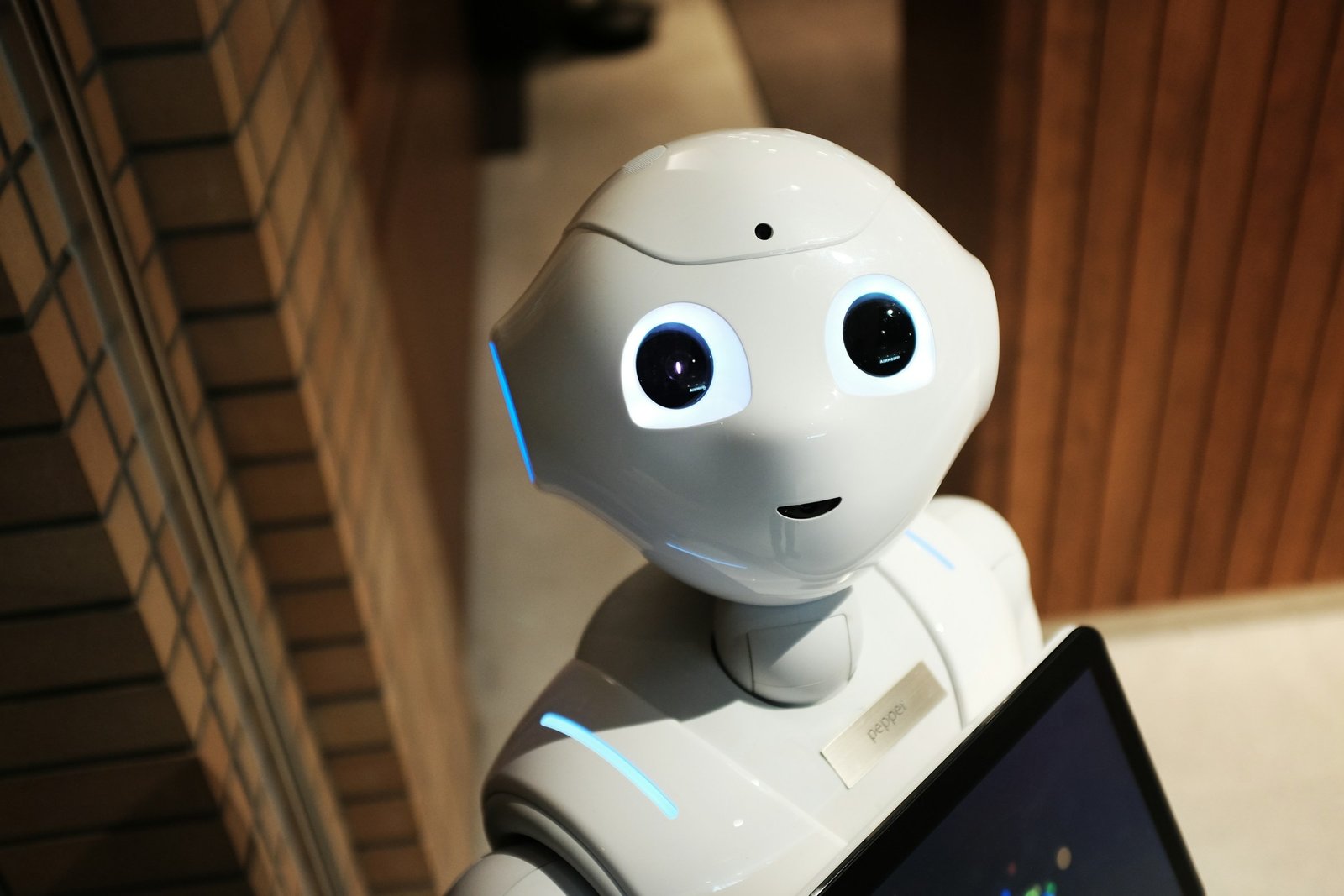 Humanoider Care-Roboter — SAFE-CARE Plattform
